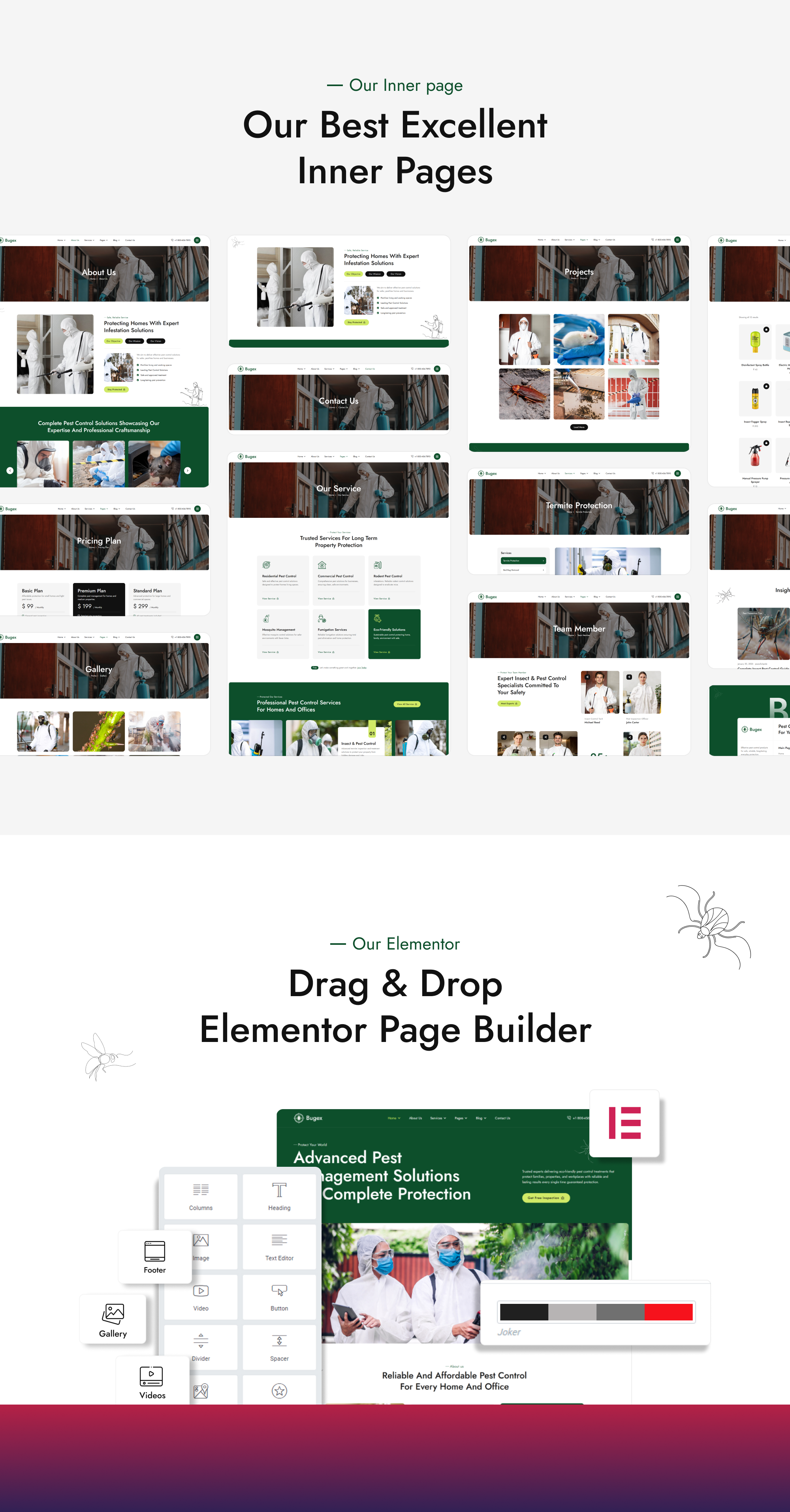 Bugex - Insect Extermination & Pest Control WordPress Theme