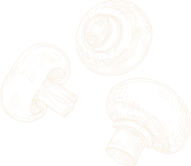 seo-image