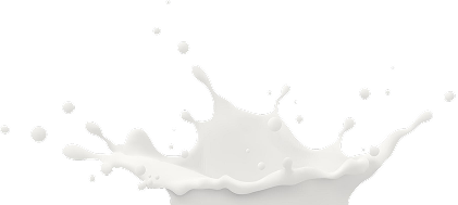 vector