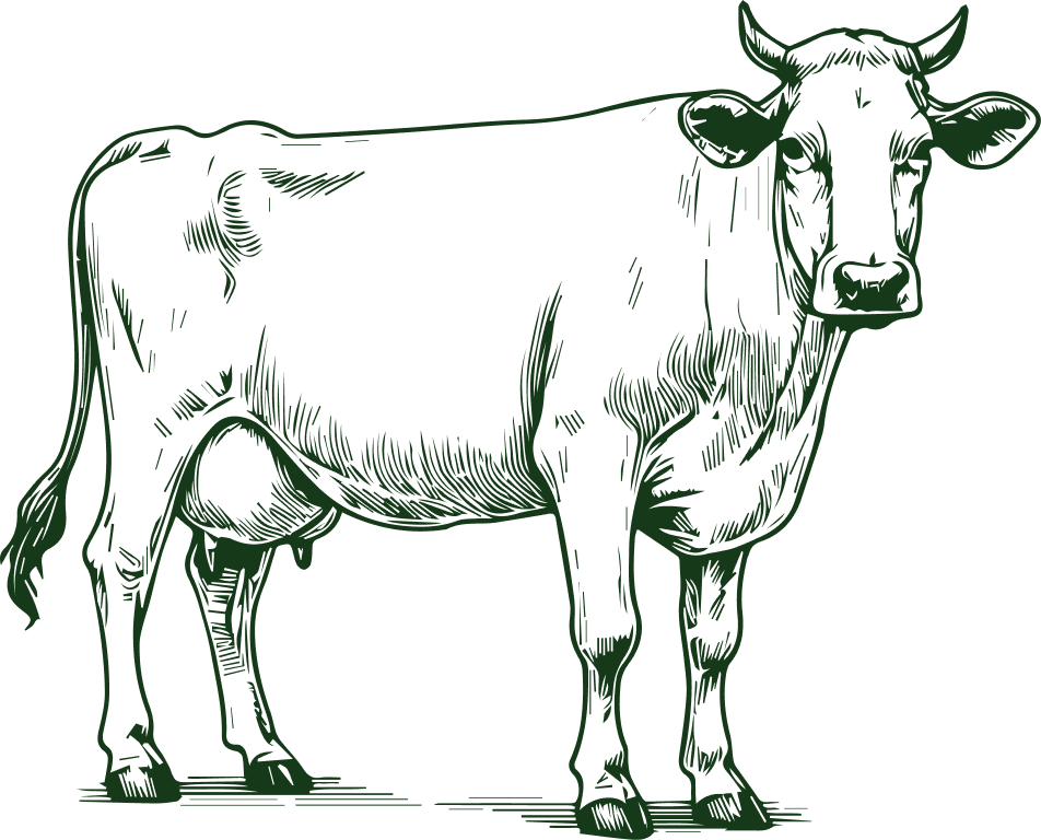pq-service-vector-two
