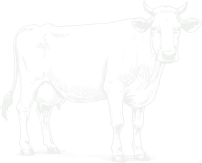 pq-service-vector-img