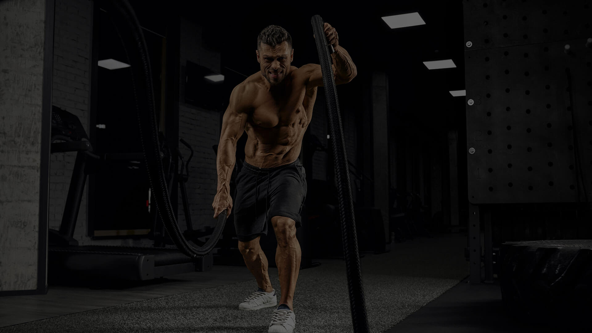 fitsense-image