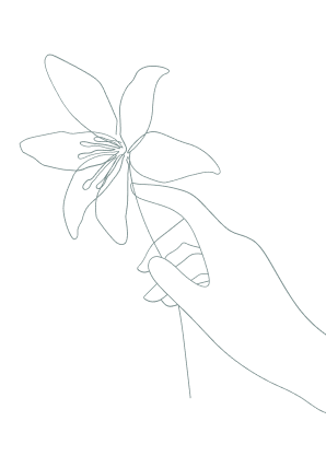 pq-back-vector